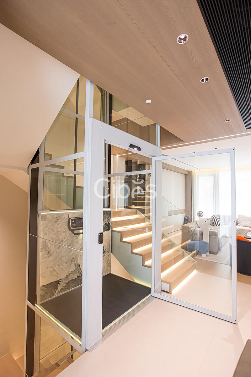 Cibes大发500别墅电梯台州案例