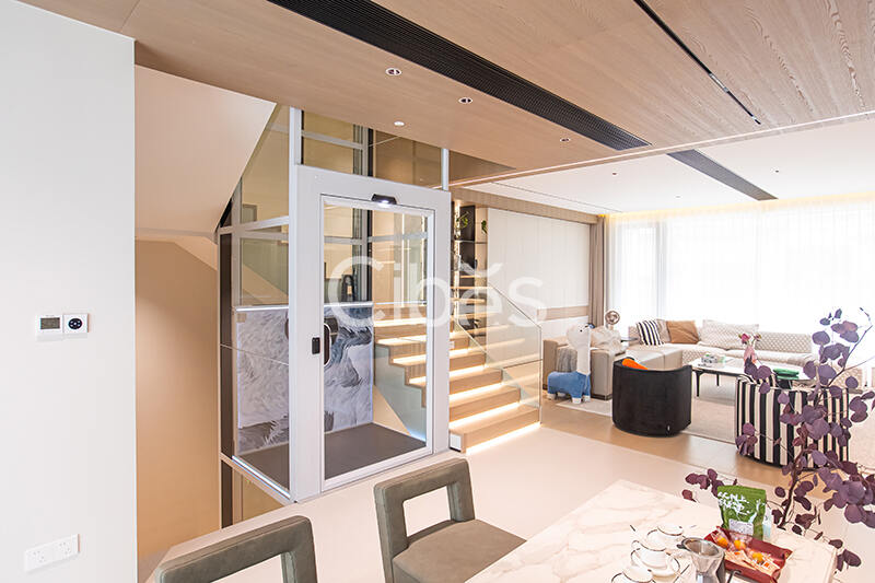 Cibes大发500别墅电梯台州案例