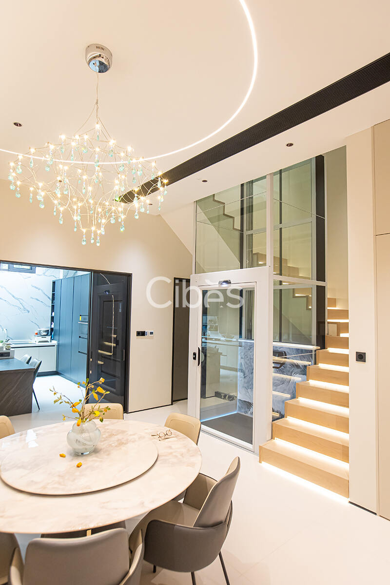 Cibes大发500别墅电梯台州案例