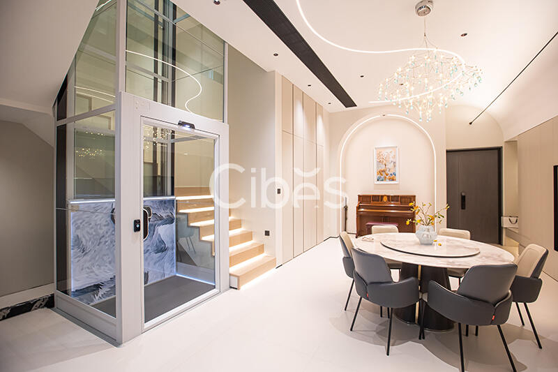 Cibes大发500别墅电梯台州案例