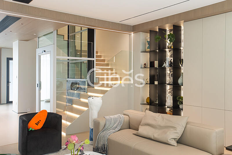 Cibes大发500别墅电梯台州案例