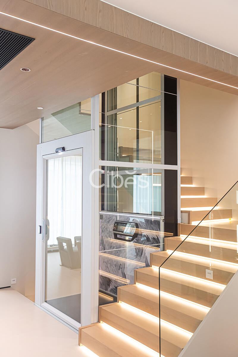 Cibes大发500别墅电梯台州案例