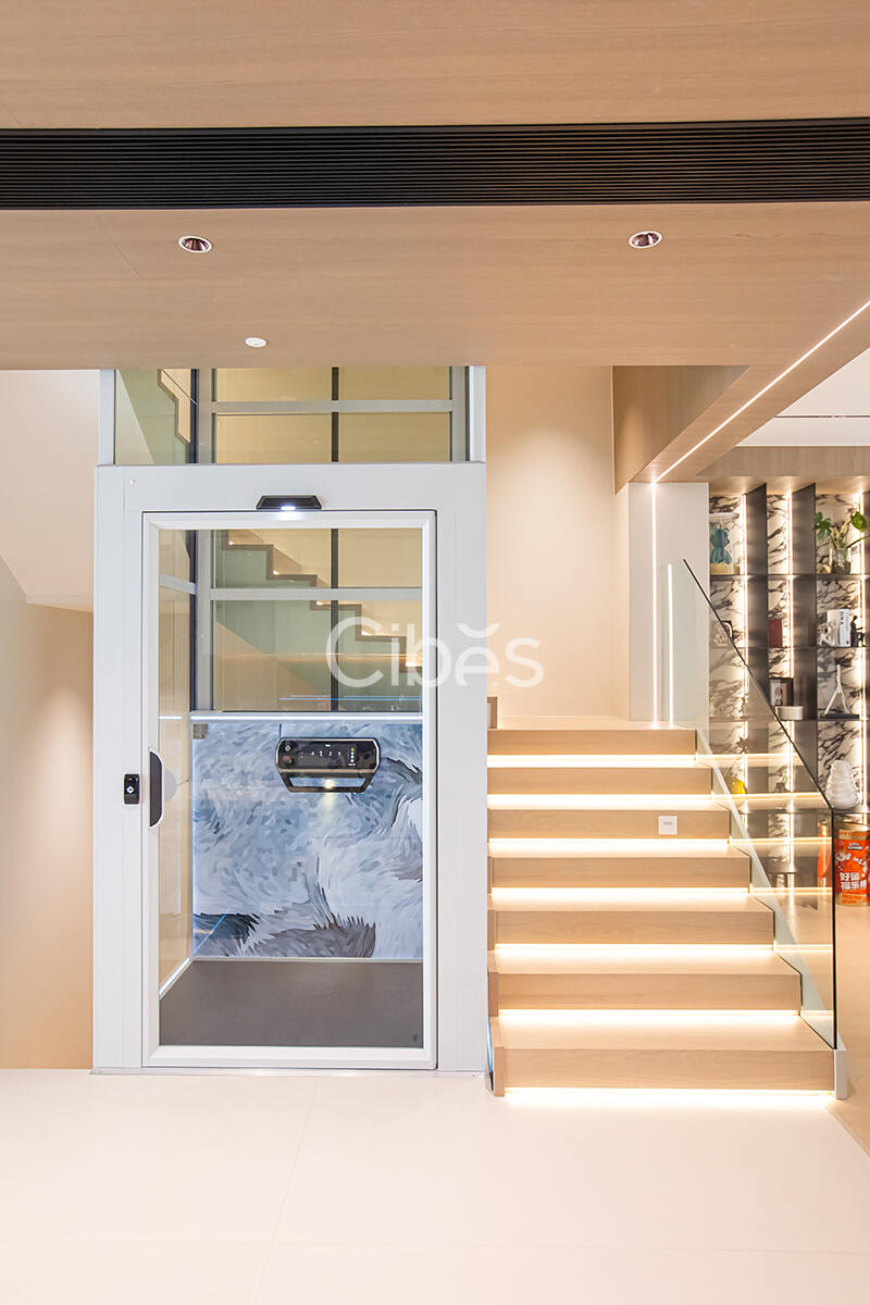 Cibes大发500别墅电梯台州案例