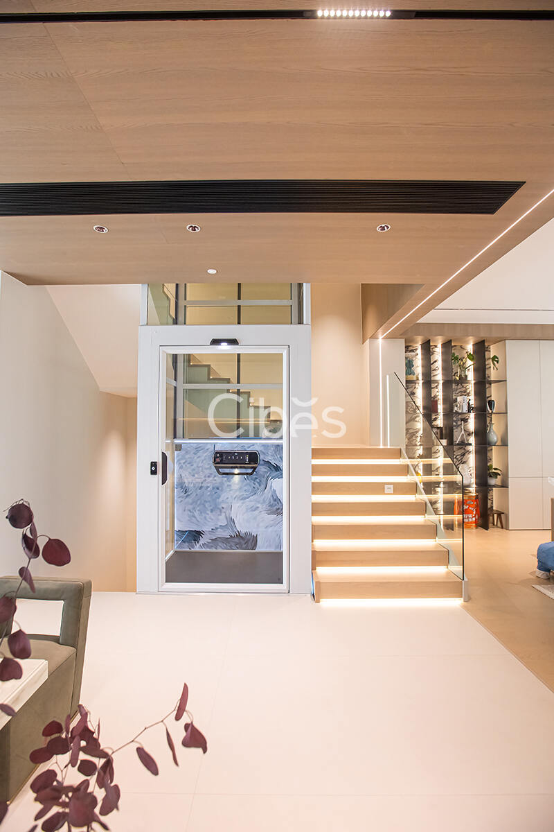 Cibes大发500别墅电梯台州案例