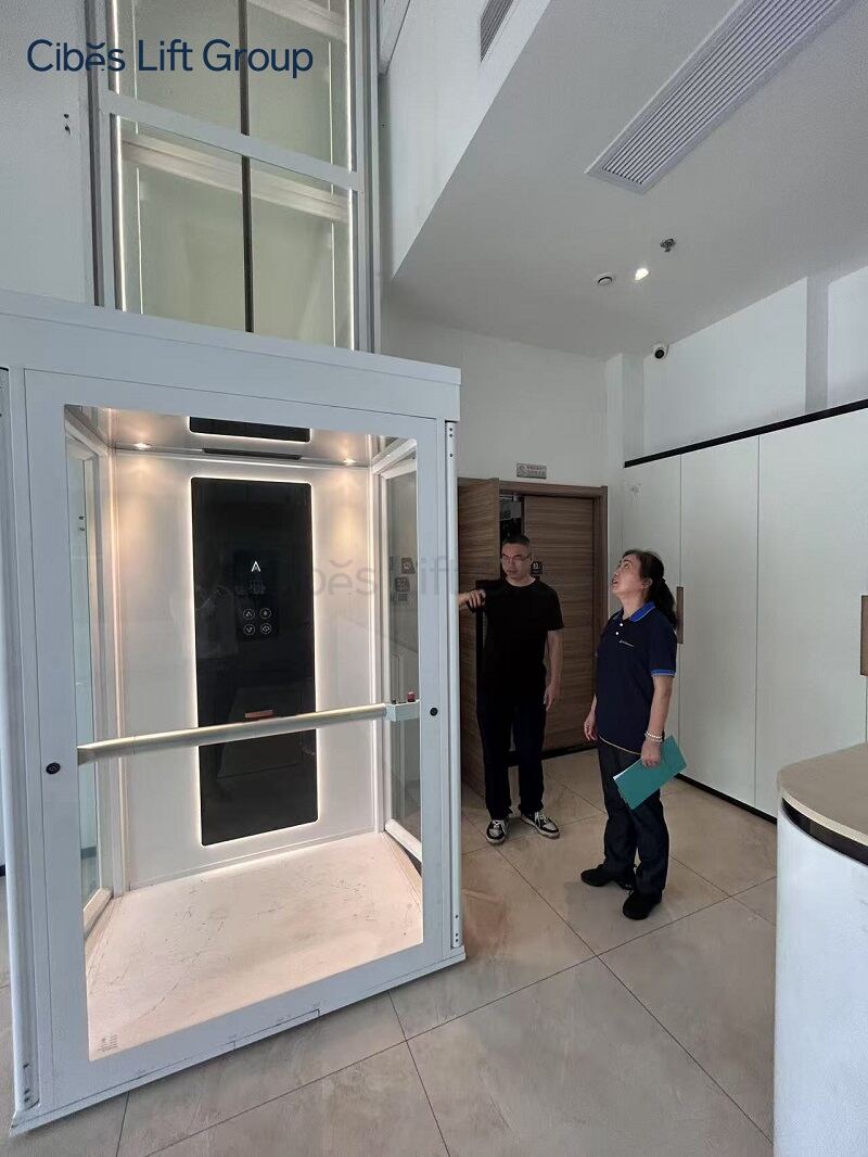 Cibes大发500电梯