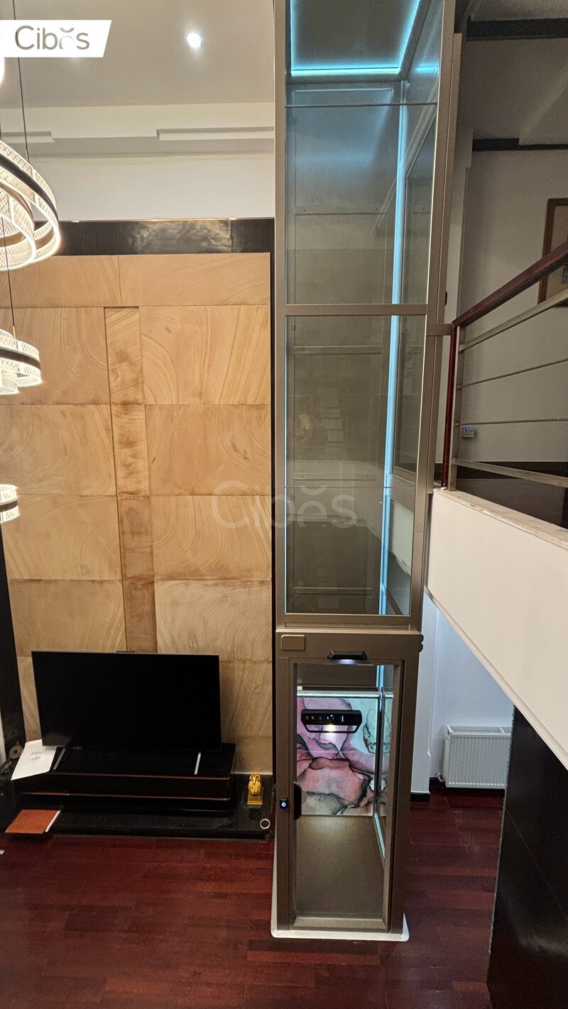 Cibes大发500别墅电梯