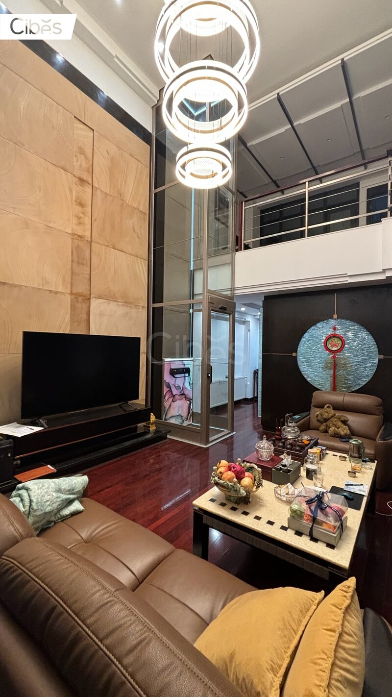 Cibes大发500别墅电梯